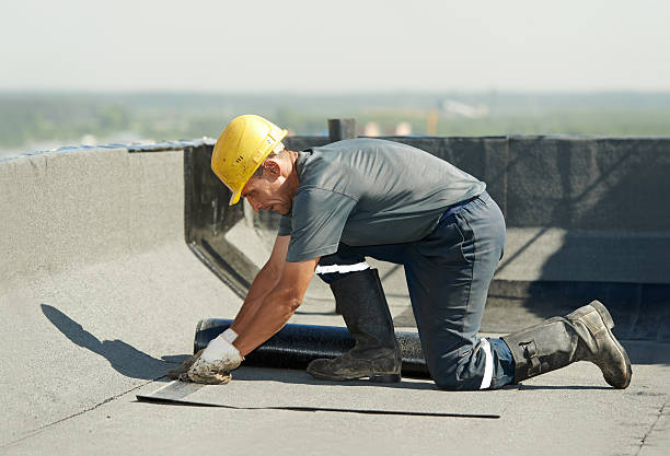 Best Geographic-Specific Insulation Services in Homer City, PA