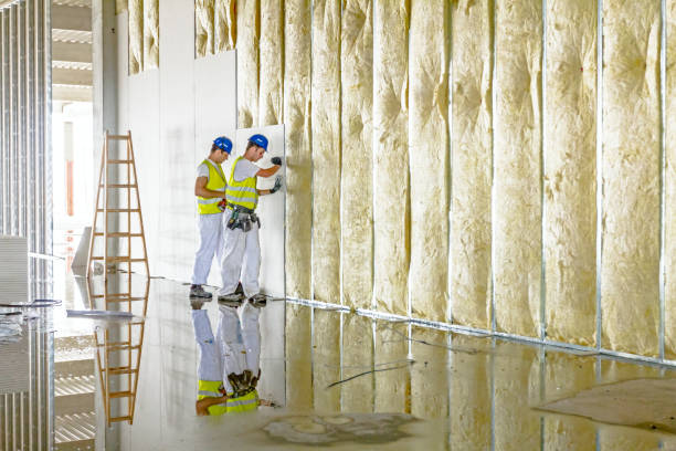 Best Eco-Friendly Insulation in Homer City, PA